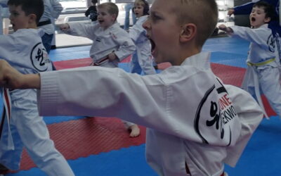 Building Confidence, One Kick at a Time: How Martial Arts Training Empowers Children