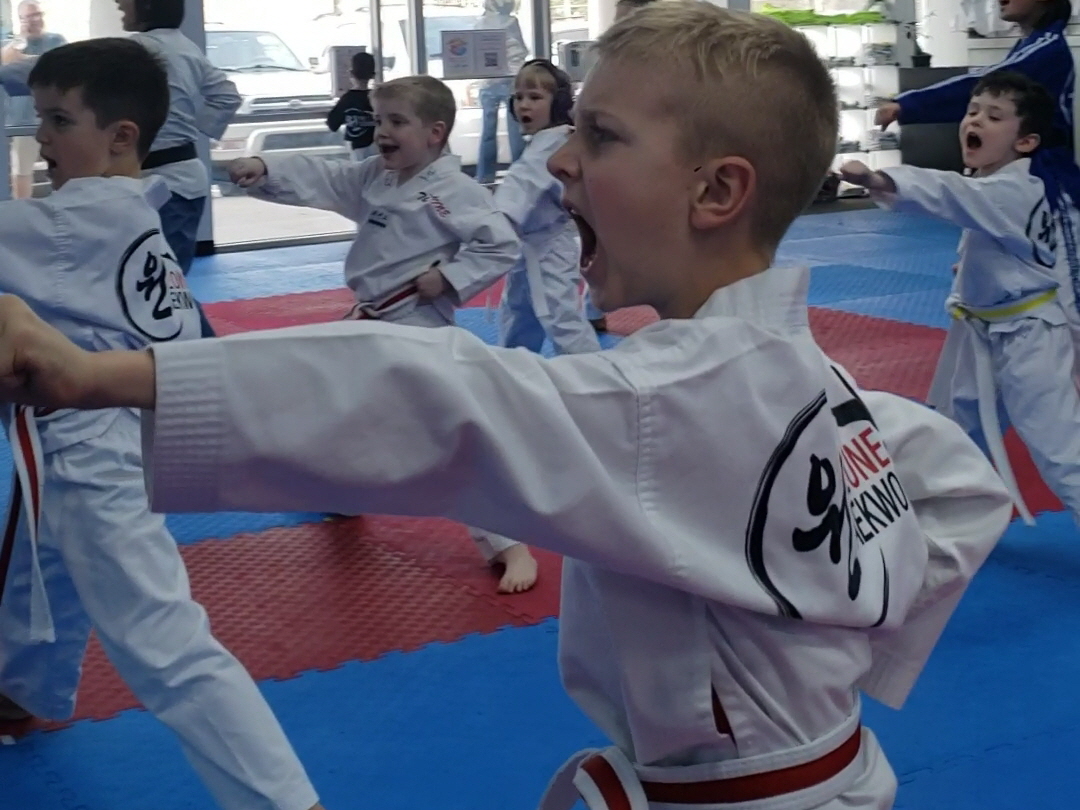 The One Taekwondo Center - Martial Arts Classes in Woodstock Georgia - Free Trial Classes Available